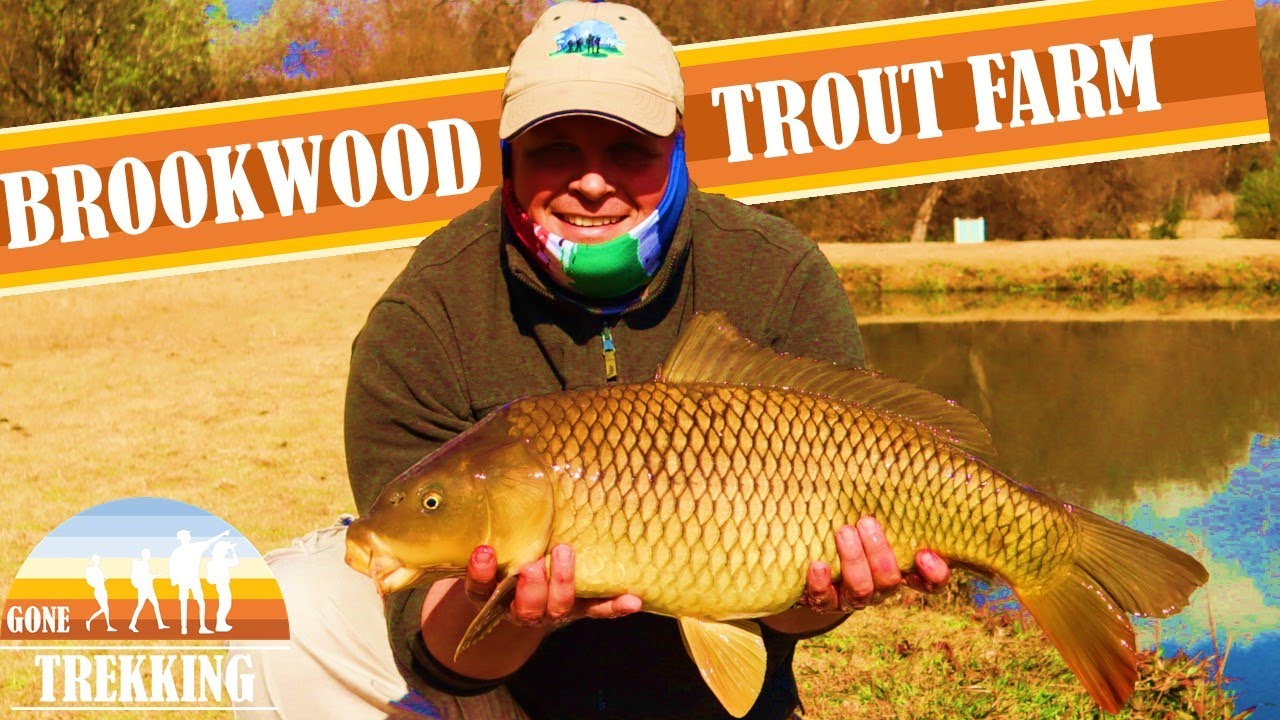 Winter Specimen Carp fishing in winter at Brookwood Estate Trout Farm