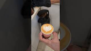 tolip coffee latte art 😛