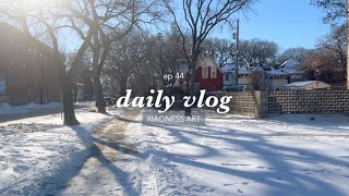 Ep 44: Silent Vlog ✨ Day in the Life of an International Student in Canada  (Winnipeg)