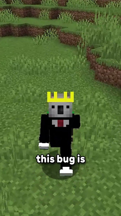 This Bug Has Lasted YEARS In Minecraft...