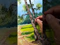 Endless Summer Fields 🌾#landscapepainting #art #nature #painting #shortsvideo #viralart #artprocess