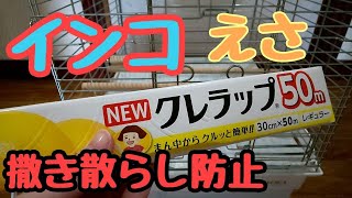 インコ☆クレラップでかごを巻く！掃除が楽になりました。