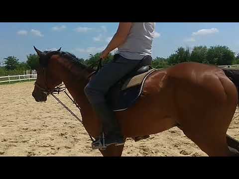 კაჭრეთის ამბასადორი!!