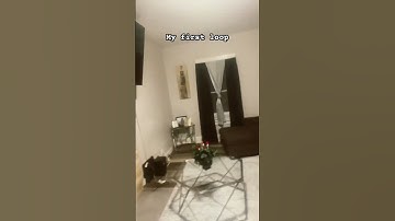 First loop #loop #music #helpmemakethismakesense #amnewbutnottheleast #lofi