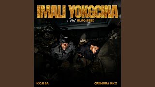 Imali Yokugcina