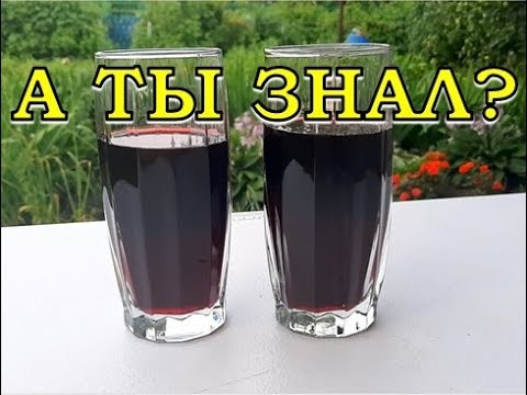 Домашнее ВИШНЕВОЕ ВИНО. Самый вкусный рецепт🍒👍👍👍