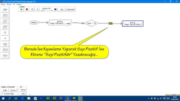 Sayının Negatif Pozitif Sıfıra Eşit Olup Olmadığını Bulan Flow Chart
