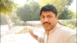 Mere gaun kaa view dhaikhen