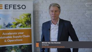 EFESO Expert Interview Chemicals: Michiel Van Den Boomen, EFESO Management Consultants