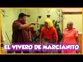 EL VIVERO DE MARCIANO -CHINO RISAS -GORDA SEXY -SHAGUI -VICTOR -JUAN -MIGUELITO -MORENAJE -DODORIA