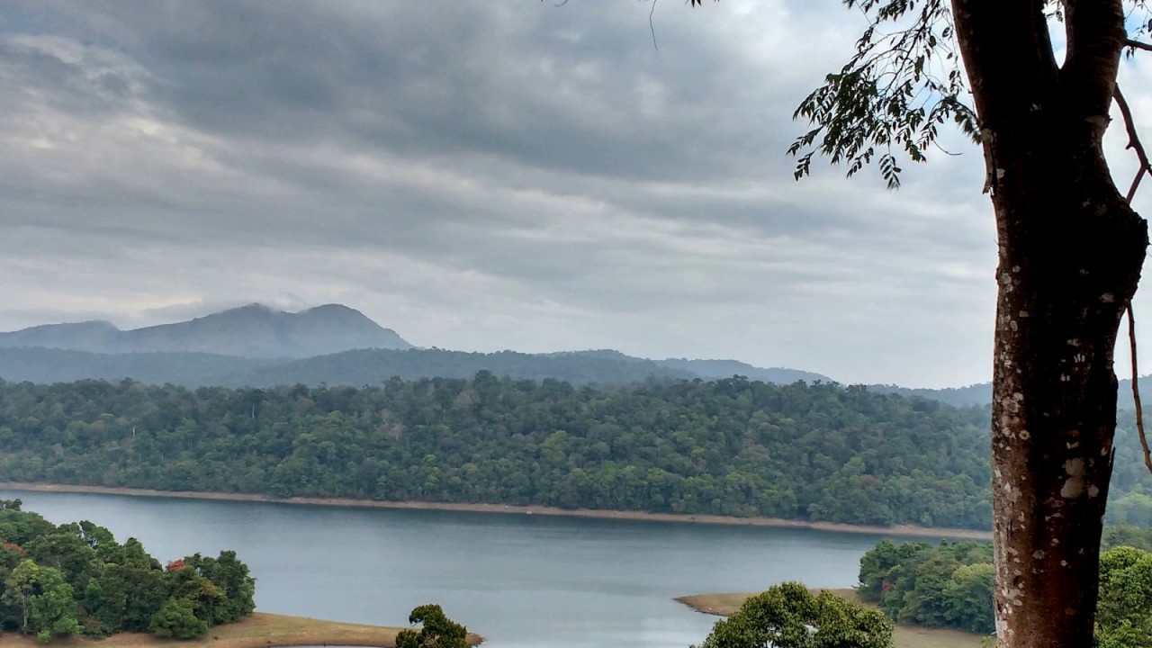 Minuet-trio c-moll BWV 813a | Johann Sebastian Bach