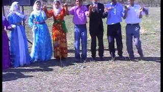 Siirt Pervari Düğüncüler Düğünü 2