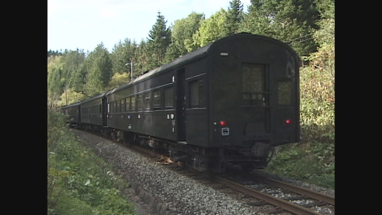 （非HD）取り残されたC11 207