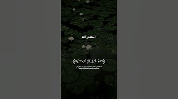 روعة القرآن تهدي القلوب وتشرح الصدور#القرآن #تدبر #آيات_من_نور #قرآن_كريم #راحة_القلب