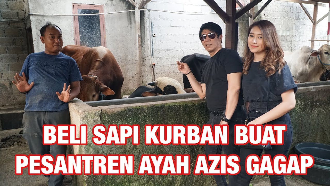 BELI SAPI DAPET KAMBING DARI AYAH AZIS GAGAP