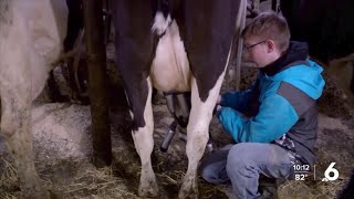 Milk dumping