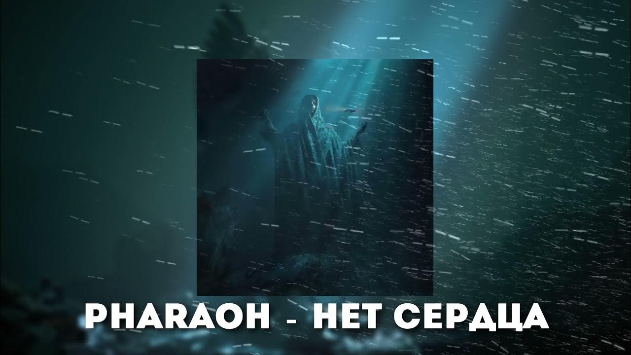 Просук. Песня сука у меня нет сердца. Песня сука у меня нет сердца. У тебя нет сердца. Холодные люди цитаты.