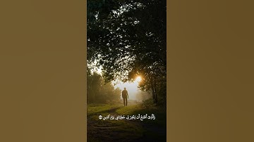 سورة الشعراء 🌹 #quran #المصحف #قرآن #حالات_واتس #اكسبلور #تلاوة_خاشعة #تيك_توك #راحة_نفسية