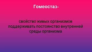 Гомеостаз