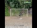 penalty shootout bestgoals by Lepchabusty #sports #football #goals #highlights #shortsviral #fans