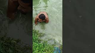 Download Lagu Awesome video of kali bouse fishing in full water MP3