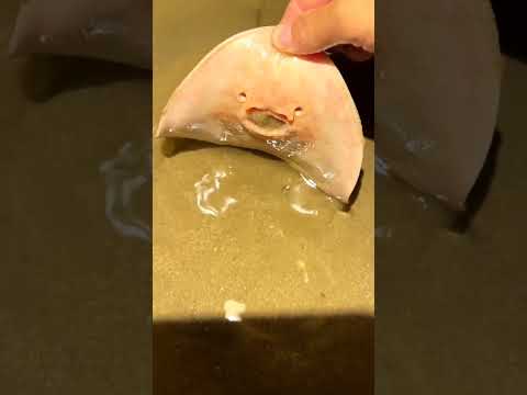 las mantarrayas son