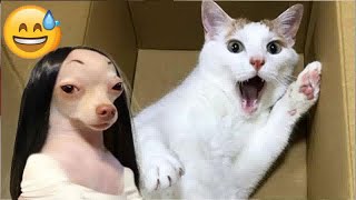YOU LAUGH YOU LOSE😁Best Funny Animals Video 2024😻🐈