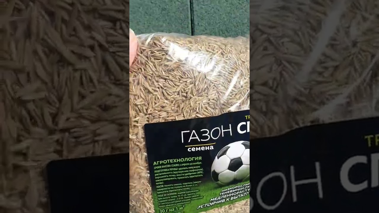 Газонная трава спортивная