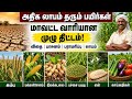 கோடை விவசாயம் | அதிக லாபம் தரும் பயிர் 💰 | மாவட்ட வாரி முழு ரகசியம் | Summer Farming | Drought Crop