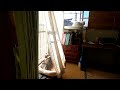 #257 くうねるあそぶ　あいされる - That's cat's Life -