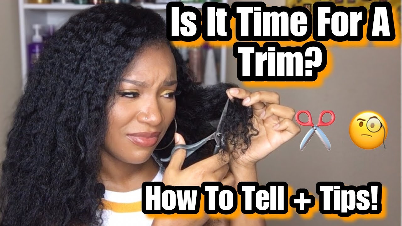 Do You Need A Trim? How To Tell When It's Time for a Trim + Tips For