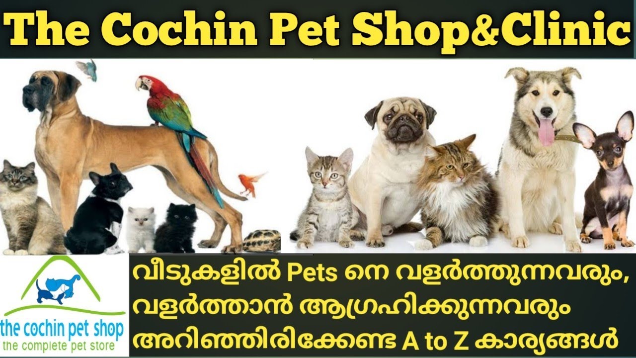 The Cochin Pet Shop The Cochin Pet Clinic Pet Shop Dog Cat