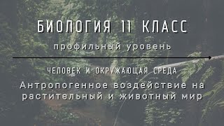 Биология 11 кл Теремов §71 Антропогенное воздействие на растительный и животный мир