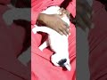 Kafala Ya Mwnangu Ni Filam Yenye Kusikitisha Sana Kafala Ya Mwnangu Ni Filam Yenye Kusikitisha Sana
