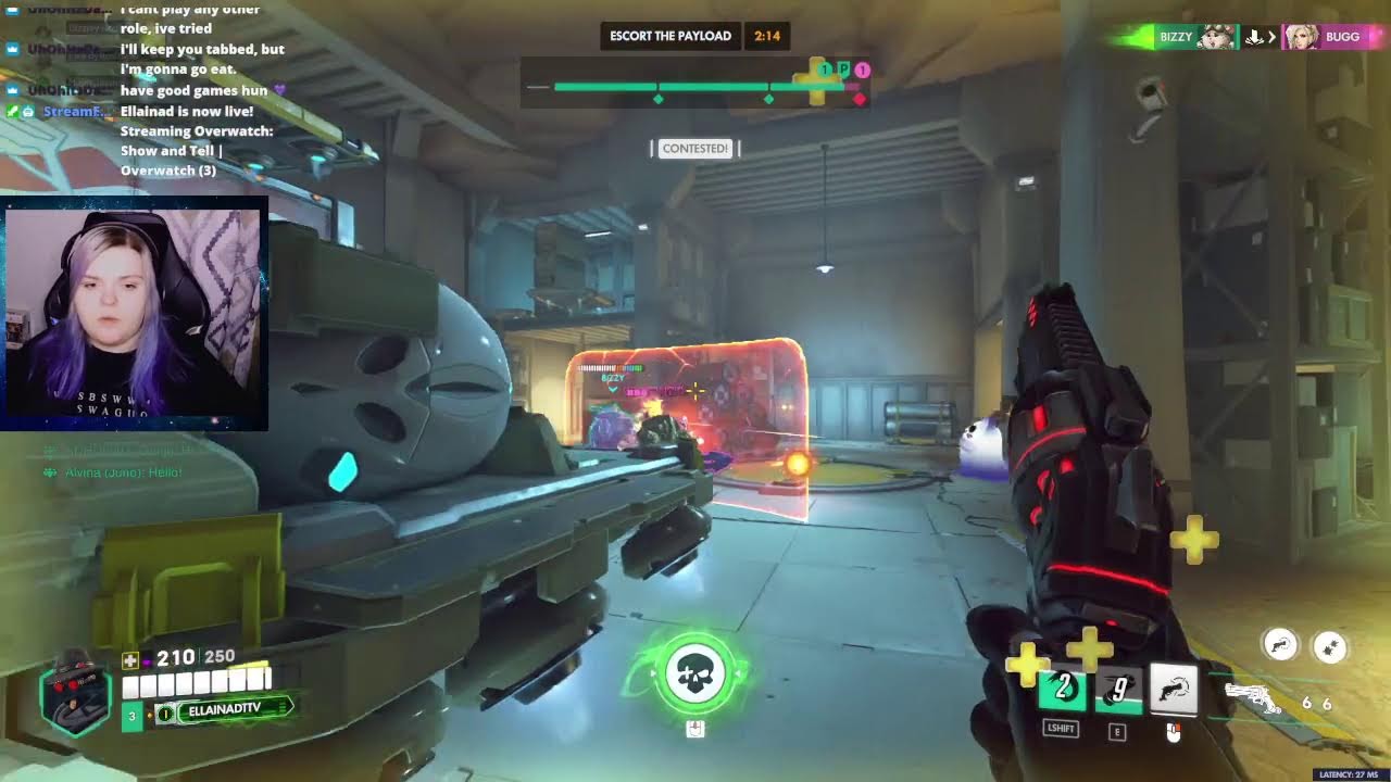 Show and Tell | Overwatch (3)