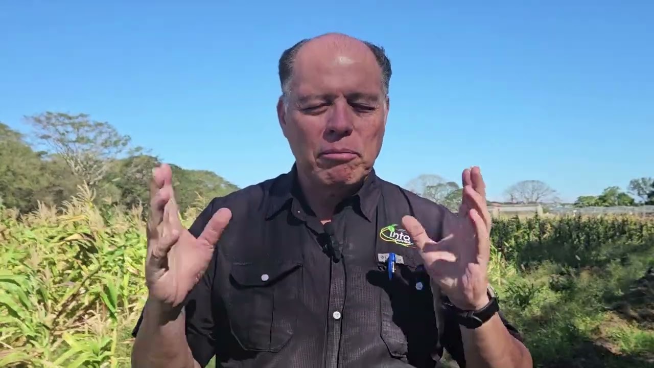 Semilla Certificada de Maíz Nutrigrano: Adaptabilidad.