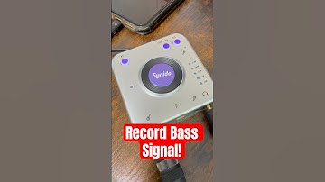 Record bass to phone! Plug and play audio interface: @synidotech Live Dock A20 #bassgear #bass #DI