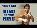 Wu tang collection  king of the ring french with english subtitles