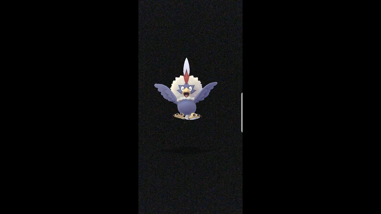 フィールドリサーチ再開します Pokemongo Shorts Youtube