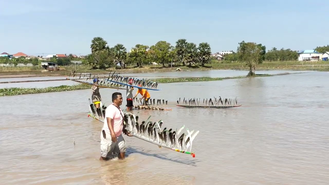 សកម្មភាពខ្លះនៃការសាកល្បឿន ទូកស្លាបមាន់ ក្នុងការប្រកួតនៅឯព្រែកបង្កង