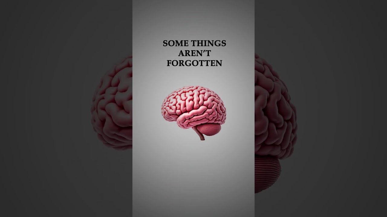 The mystery of our eyes and brain