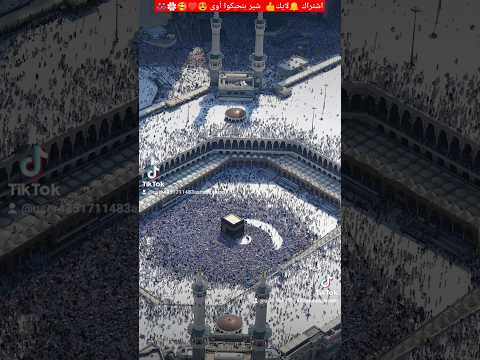 يا ملح دارنا كبر صغارنا سيدنا محمد فى الحلم زارنا سيدنا ونبينا إللى هادينا سلم علينا وجبر خاطرنا