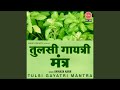 Tulsi Gayatri Mantra mp3