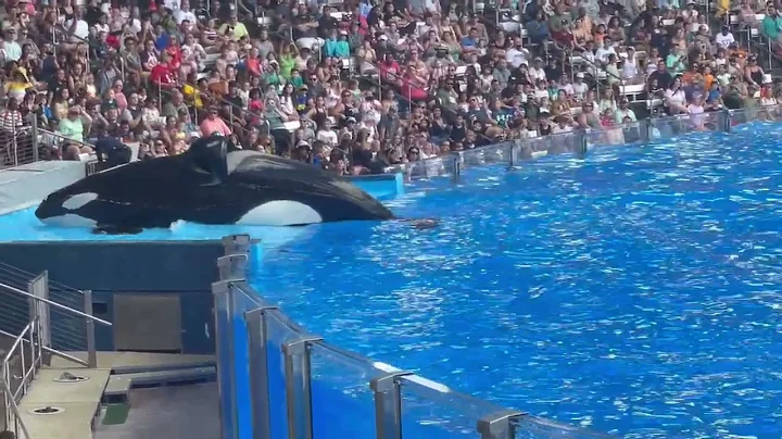 Sea world 2022