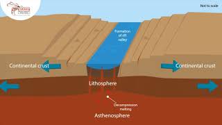 Tectonic Processes - Compilation