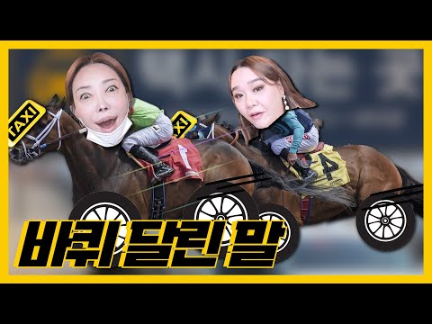 9만원짜리 <strong>적토마</strong> 체험기