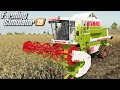 Żniwa kombajnem Claas Dominator - Farming Simulator 19 | #1