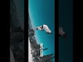 [Snowboard]This Edit Never Slows Down… 🔥#snowboarding #snowboardbindings #snowboard #topgun