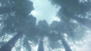 The Forest of Things You Want to Happen | CREEPYPASTA
Join my Patreon: https://www.patreon.com/Jomar1001001
Subscribe to My Channel!: https://www.youtube.com/user/jomar1001001?sub_confirmation=1
Story Read: https://creepypasta.fandom.com/wiki/The_Forest_of_Things_You_Want_to_Happen
creepypasta,creepypasta stories,creepypasta reading,creepypasta story,creepypasta narration,creepy pasta stories,creepypastas,asmr reading,scary stories,creepy pasta,horror story audiobook,horror narration,creepy story,new creepypasta,horror stories,scary story,creepy stories from reddit,creepy stories,short nosleep stories,best creepypasta story,best creepypasta,long creepypasta story,stories,long creepypasta,long scary stories,horror story,story The Forest of Things You Want to Happen | CREEPYPASTA