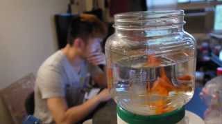 Documentary Video by Connie Xu, Columbus College of Art & Design